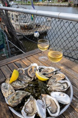 Fransa 'nın Gujan-Mestras limanı, Arcachon körfezindeki eski istiridye çiftliklerinin manzaralı, istiridye çiftliği olan istiridye çiftliği köyündeki çiftlik kafesinde taze çiğ istiridye yemek.