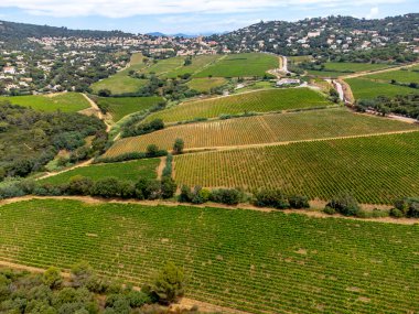 Tepeler, deniz, evler ve yeşil üzüm bağları üzerindeki hava manzarası Cotes de Provence, Saint-Tropez, Gassin ve Pampelonne plajı yakınlarındaki gül şarabı üretimi, Var, Fransa