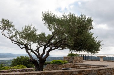 Saint-Tropez yakınlarındaki yeşil tepelerde eski güzel Gassin köyü, Fransız Riviera, Var, Fransa