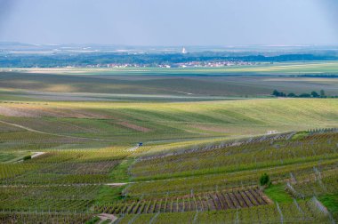 Spring landscape with green grand cru vineyards near Cramant, Avize region Champagne, France. Cultivation of white chardonnay wine grape on chalky soils of Cote des Blancs. clipart