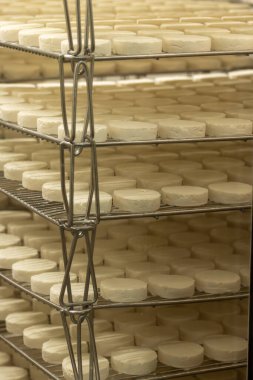 Rocamadour yumuşak keçi peyniri, Perigord 'daki çiftlikte üretilen yaşlanma sürecinde yumuşak kabuklu AOC peyniri ve Quercy adını Fransa' nın ayrılan Lot kentindeki Rocamadour köyünden aldı.