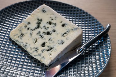 Piece of French blue cheese Roquefort, made from sheep milk in caves of Roquefort-sur-Soulzon, France clipart