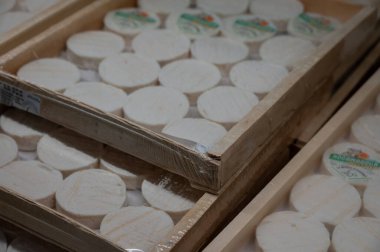 Perigord ve Quercy 'deki çiftlikte üretilen yumuşak kabuklu kauçuk yumuşak keçi peyniri, Fransa' da ayrılan Lot.