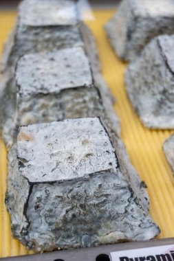 Cheese collection, French Carre Cendre Lait cru Chevre pyramid cheese made from goat milk with ash in Souillac, Perigord region in France close up clipart