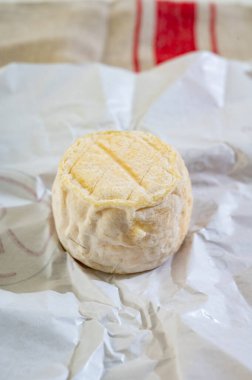 Peynir koleksiyonu, yumuşak keçi peyniri küflü Fransız peyniri peynir tarlasında Sancerre yakınlarında üretilen kret de Chavignol peyniri, Loire Vadisi beyaz kağıda yakın.