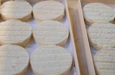 Rocamadour or cabecous soft goat AOC cheese with soft rind produced on farm in Perigord and Quercy on farmers market, departement Lot in France clipart