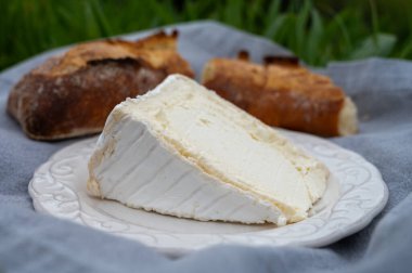 Delice de Bourgogne Fransa 'nın Burgundy bölgesinden gelen inek sütü peyniri. Açık havada baget ile servis ediliyor.