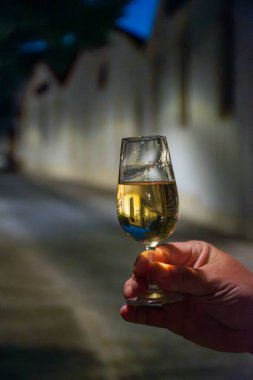 Jerez de la Frontera 'da arka planda şarap mahzenleri, şehir manzarası, Endülüs, İspanya' da şarap kadehleri servis ediliyor.