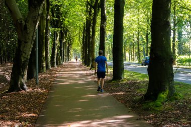 Kuzey Brabant, Hollanda 'da ulaşım, bisiklet yolları ve beyaz işaretli yollar, yüksek kaliteli asfalt yolları, sporcular, koşucular