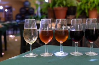Beş fıçı şarap, fino, manzanilla, olorosso, amontillado, pedro ximenez jerez şarapları eski meyhanede, şarap tatma, Sanlucar de Barrameda, Cadiz, Endülüs, İspanya