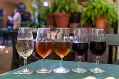 Beş fıçı şarap, fino, manzanilla, olorosso, amontillado, pedro ximenez jerez şarapları eski meyhanede, şarap tatma, Sanlucar de Barrameda, Cadiz, Endülüs, İspanya