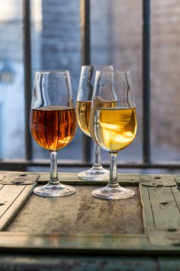 Şarap tatma, fino, olorosso, amontillado, kremalı Jeremy Sherry. Jerez de la Frontera, Cadiz, Endülüs, İspanya 'da palomino beyaz üzümünden yapılmış.