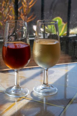 Sherry fino, manzanilla, olorosso şarabı, Jerez de la Frontera, Cadiz, Endülüs, İspanya 'nın eski kesimindeki Endülüs evinde servis edilen palomino beyaz üzümünden yapılmış güçlendirilmiş şarap.