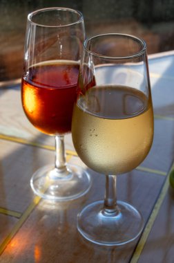 Sherry fino, manzanilla, olorosso şarabı, Jerez de la Frontera, Cadiz, Endülüs, İspanya 'nın eski kesimindeki Endülüs evinde servis edilen palomino beyaz üzümünden yapılmış güçlendirilmiş şarap.