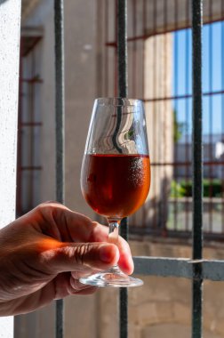 Bir bardak şeri fino, manzanilla, şarap, palomino beyaz üzümleri ve arka planda Endülüs vitrinlerinden güçlendirilmiş şarap, Jerez de la Frontera, İspanya