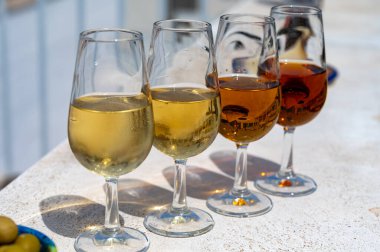 Sherry fino, manzanilla, kremalı Jeremy Sevilla 'nın eski Triana semtinin çatısında Sevilla evleri ve kiliseleri gören şarap kadehleri, şarap kadehleri, şarap kadehleri