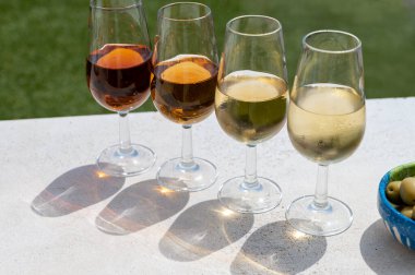 Sherry fino, manzanilla, kremalı Jeremy Sevilla 'nın eski Triana semtinin çatısında Sevilla evleri ve kiliseleri gören şarap kadehleri, şarap kadehleri, şarap kadehleri
