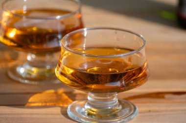 Güneşli bahçede yeni hasat edilmiş elmalardan yapılmış elma suyunun tadına bakmak, bir bardak elma şarabı.