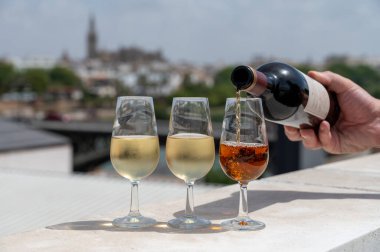 Sherry fino, manzanilla, kremalı Jeremy Sevilla 'nın eski Triana semtinin çatısında Sevilla evleri ve kiliseleri gören şarap kadehleri, şarap kadehleri, şarap kadehleri
