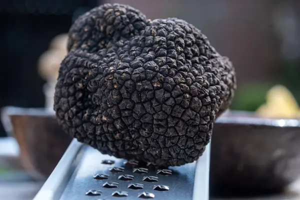 stock image Delicious mushrooms, fresh black summer truffle mushroom from Italy and grater for making truffle dishes with tasty aroma