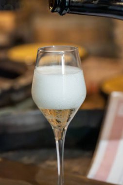 Büyük Cru şarabı tatmak, köpüklü, köpüklü, beyaz şarap eski şampanya mağaralarının Grand Cru şarap üreticisi Cramant, Champagne, Fransa