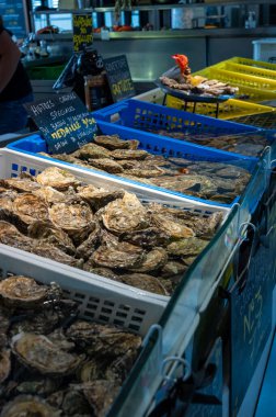 Pazar salonundaki farklı boyutlarda taze canlı istiridyeler öğle yemeği için yenmeye hazır, yakın mesafede, Arcachon körfezi, Gujan-Mestras, Bordeaux, Fransa
