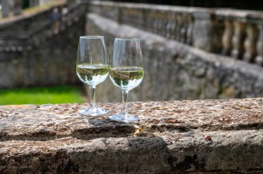 Tasing glasses of white wine in old wine domain on Sauternes vineyards in Barsac village and old castle on background, Bordeaux, France clipart