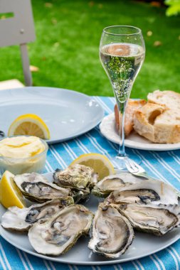 Gujan-Mestras 'taki istiridye çiftliğinde servis edilen taze Fransız istiridye yumuşakçaları. Limon, baquette ekmeği, tereyağı ve şampanya. Kuru şarap, Fransız lezzetli deniz ürünleri.
