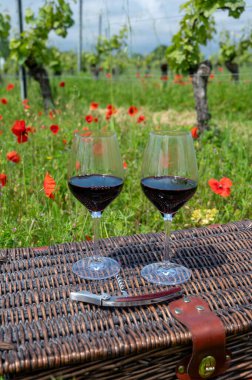 Picnic on old vineyard with red poppies flowers and green grass with glasses of red Cahors wine, summer in Cahors wine making region in France, holidays or weekend background clipart