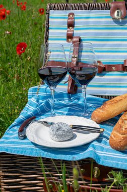 Kırmızı gelincik çiçekli eski üzüm bağında piknik ve kırmızı şarap, peynir ve baquette bardaklarıyla yeşil çimen, Fransa 'da yaz mevsiminde şarap yapmak, tatil ve hafta sonu geçmişi