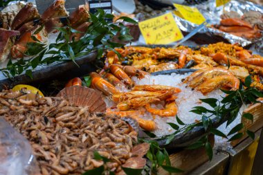Fransa 'da balık pazarında buzda günlük taze karides, deniz kabuğu, yumuşakça çeşitleri, İngilizce çeviri: farklı Fransız deniz ürünleri isimleri