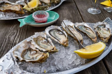 Güneşli bir günde, Arcachon Bassin, Gujan-Mestras limanı, Bordeaux, Fransa 'da, istiridye sayısı 0 olan istiridye çiftçilik köyündeki açık hava kafesinde taze canlı istiridye ve ekmek yemek..