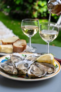 Fransa 'nın Gujan-Mestras limanındaki Arcachon körfezi istiridye çiftliği köyündeki restoranda taze çiğ istiridye kabukları, ekmek, tereyağı ve beyaz şarapla servis edilen tabaklar.