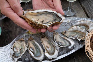 Güneşli bir günde, Arcachon Bassin, Gujan-Mestras limanı, Bordeaux, Fransa 'da, istiridye sayısı 0 olan istiridye çiftçilik köyündeki açık hava kafesinde taze canlı istiridye ve ekmek yemek..