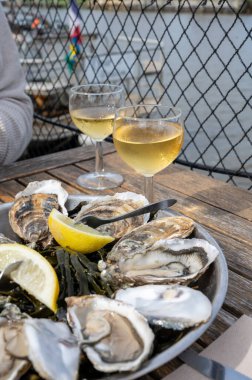 Fransa 'nın Gujan-Mestras limanı, Arcachon körfezindeki eski istiridye çiftliklerinin manzaralı, istiridye çiftliği olan istiridye çiftliği köyündeki çiftlik kafesinde taze çiğ istiridye yemek.