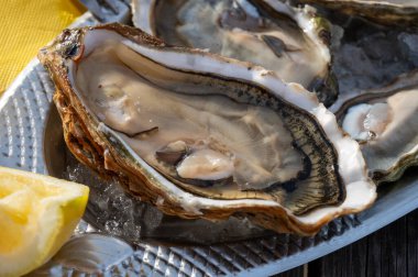 Güneşli bir günde, Arcachon Bassin, Gujan-Mestras limanı, Bordeaux, Fransa 'da, istiridye sayısı 0 olan istiridye çiftçilik köyündeki açık hava kafesinde taze canlı istiridye ve ekmek yemek..