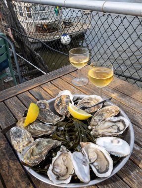 Fransa 'nın Gujan-Mestras limanı, Arcachon körfezindeki eski istiridye çiftliklerinin manzaralı, istiridye çiftliği olan istiridye çiftliği köyündeki çiftlik kafesinde taze çiğ istiridye yemek.
