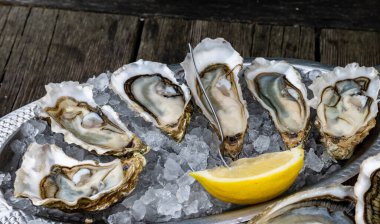Fransa 'nın Gujan-Mestras limanındaki Arcachon körfezi istiridye çiftliği köyündeki restoranda taze çiğ istiridye, deniz kabuğu, liman, ekmek, tereyağı ve beyaz şarapla servis edilen tabaklar.