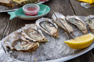 Güneşli bir günde, Arcachon Bassin, Gujan-Mestras limanı, Bordeaux, Fransa 'da, istiridye sayısı 0 olan istiridye çiftçilik köyündeki açık hava kafesinde taze canlı istiridye ve ekmek yemek..