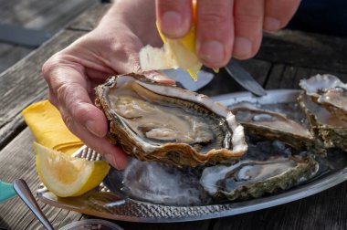 Güneşli bir günde, Arcachon Bassin, Gujan-Mestras limanı, Bordeaux, Fransa 'da, istiridye sayısı 0 olan istiridye çiftçilik köyündeki açık hava kafesinde taze canlı istiridye ve ekmek yemek..