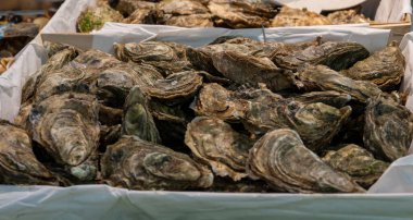 Fresh live different sizes oysters Fine de Claires in market hall ready to be eaten for lunch, close up, from oyster-farming village, Arcachon bay, Gujan-Mestras, Bordeaux, France clipart