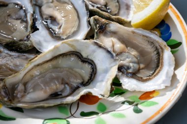 Fransa 'nın Gujan-Mestras limanındaki Arcachon körfezi istiridye çiftliği köyündeki restoranda taze çiğ istiridye kabukları, ekmek, tereyağı ve beyaz şarapla servis edilen tabaklar.