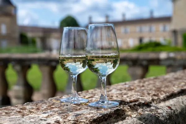 Barsac köyündeki Sauternes üzüm bağlarındaki eski şarap sahasında beyaz şarap bardakları ve arka plandaki eski şato, Bordeaux, Fransa