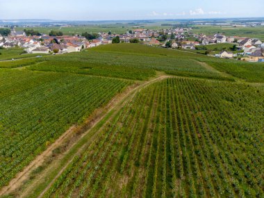 Oger ve Mesnil-sur-Oger yakınlarındaki yeşil büyük Cru üzüm bağlarının havadan görünüşü, Champagne bölgesi, Fransa. Cote des Blancs 'ın kireçli topraklarında beyaz şarap üzümü ekimi, hasat.