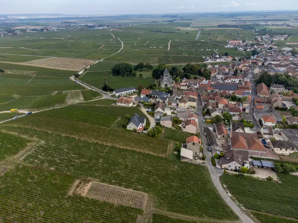 Oger ve Mesnil-sur-Oger yakınlarındaki yeşil büyük Cru üzüm bağlarının havadan görünüşü, Champagne bölgesi, Fransa. Cote des Blancs 'ın kireçli topraklarında beyaz şarap üzümü ekimi, hasat.