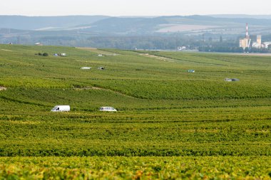 Cramant ve Avize yakınlarındaki Grand Cru üzüm bağları ile manzara, bölge Champagne, Fransa. Beyaz Chardonnay şarabının yetiştirilmesi ve hasat edilmesi Cote des Blancs 'ın kireçli topraklarında üzümdür.