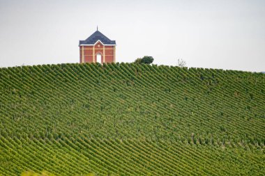 Cramant ve Avize yakınlarındaki Grand Cru üzüm bağları ile manzara, bölge Champagne, Fransa. Beyaz Chardonnay şarabının yetiştirilmesi ve hasat edilmesi Cote des Blancs 'ın kireçli topraklarında üzümdür.