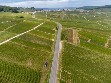 Cramant ve Avize yakınlarındaki Grand Cru üzüm bağlarının havadan görünüşü, Fransa 'nın Şampanya Bölgesi. Beyaz Chardonnay şarabının yetiştirilmesi ve hasat edilmesi Cote des Blancs 'ın kireçli topraklarında üzümdür.