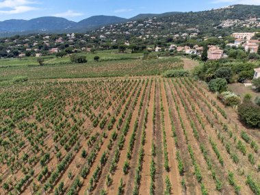 Tepeler, deniz, evler ve yeşil üzüm bağları üzerindeki hava manzarası Cotes de Provence, Saint-Tropez, Gassin ve Pampelonne plajı yakınlarındaki gül şarabı üretimi, Var, Fransa