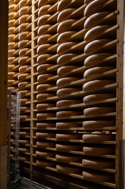 Aging rooms with many shelves in cheese caves, central location for aging of wheels, rounds of Comte cheese from four months to several years made from raw cow milk, Jura, France clipart